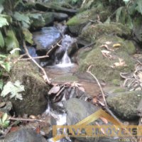 Im�vel Rural 49 Hectares 