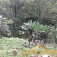 Im�vel Rural 49 Hectares 