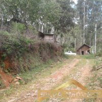 Imvel Rural 49 Hectares 