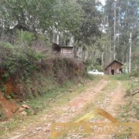 Im�vel Rural 49 Hectares 