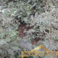 Im�vel Rural 49 Hectares 