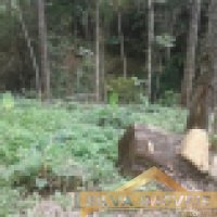 Im�vel Rural 49 Hectares 