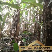 Im�vel Rural 49 Hectares 