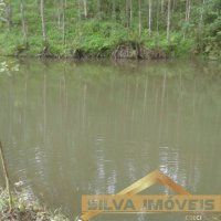 Im�vel Rural 49 Hectares 