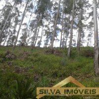 Imvel Rural 49 Hectares 