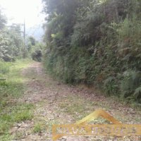 Imvel Rural 49 Hectares 