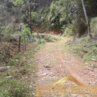 Im�vel Rural 49 Hectares 