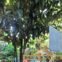 CASA NO TIMB�