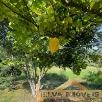 rea Rural em Canelinha