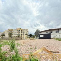 LOTE + CONTAINER 